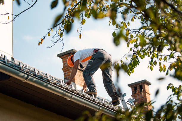 Best Residential Roof Replacement  in Jamesburg, NJ