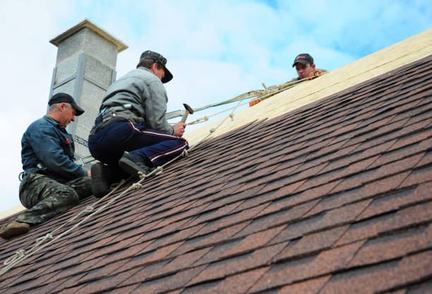 Best Roof Leak Repair  in Jamesburg, NJ